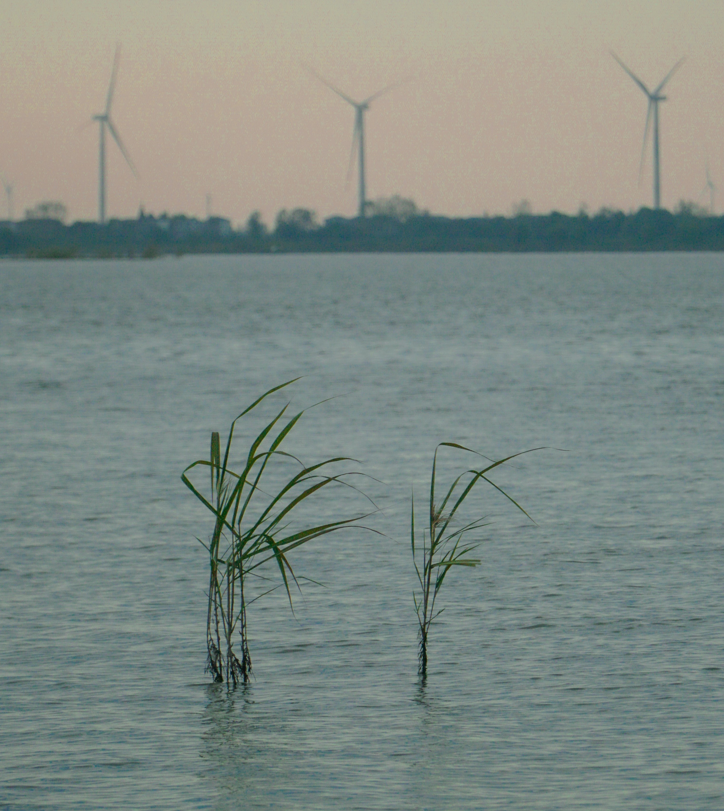 Reform, Development, and Transformation of Power Enterprises